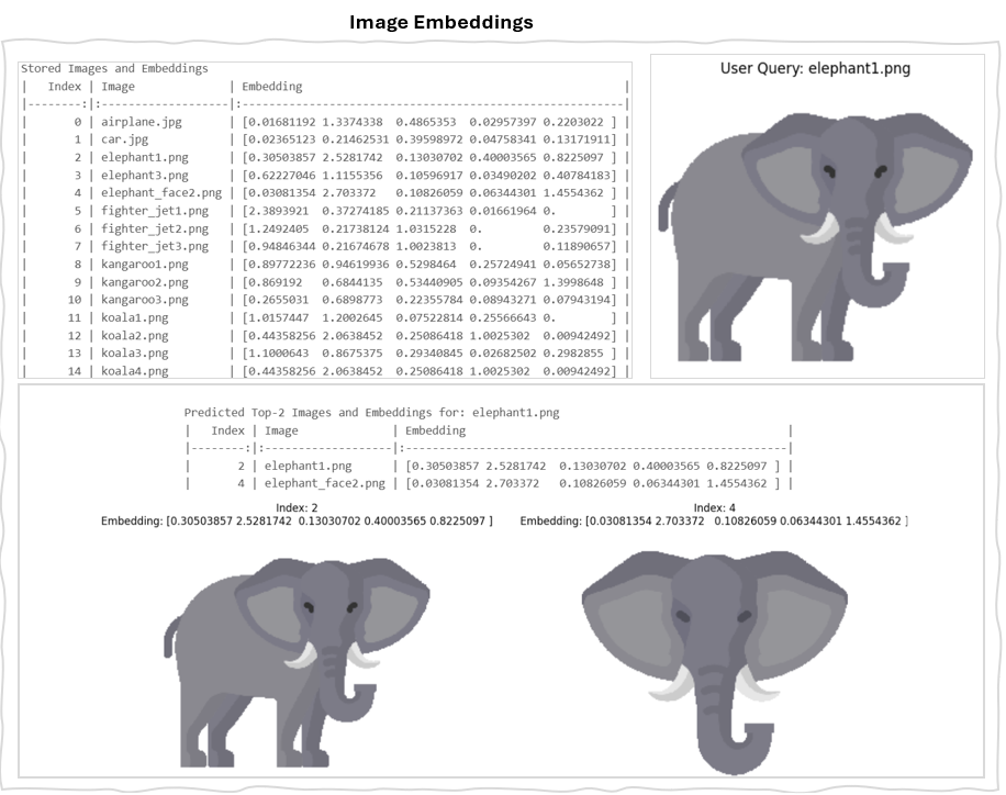 Image Embedding Result